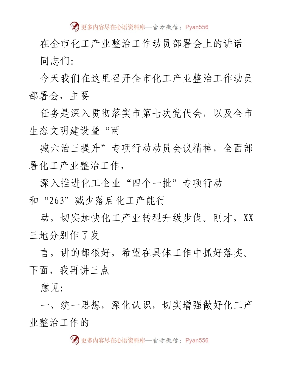 [发言] 全市化工产业整治工作动员部署会 - 深入推进化工产业整治，提升安全环保水平.docx_第1页