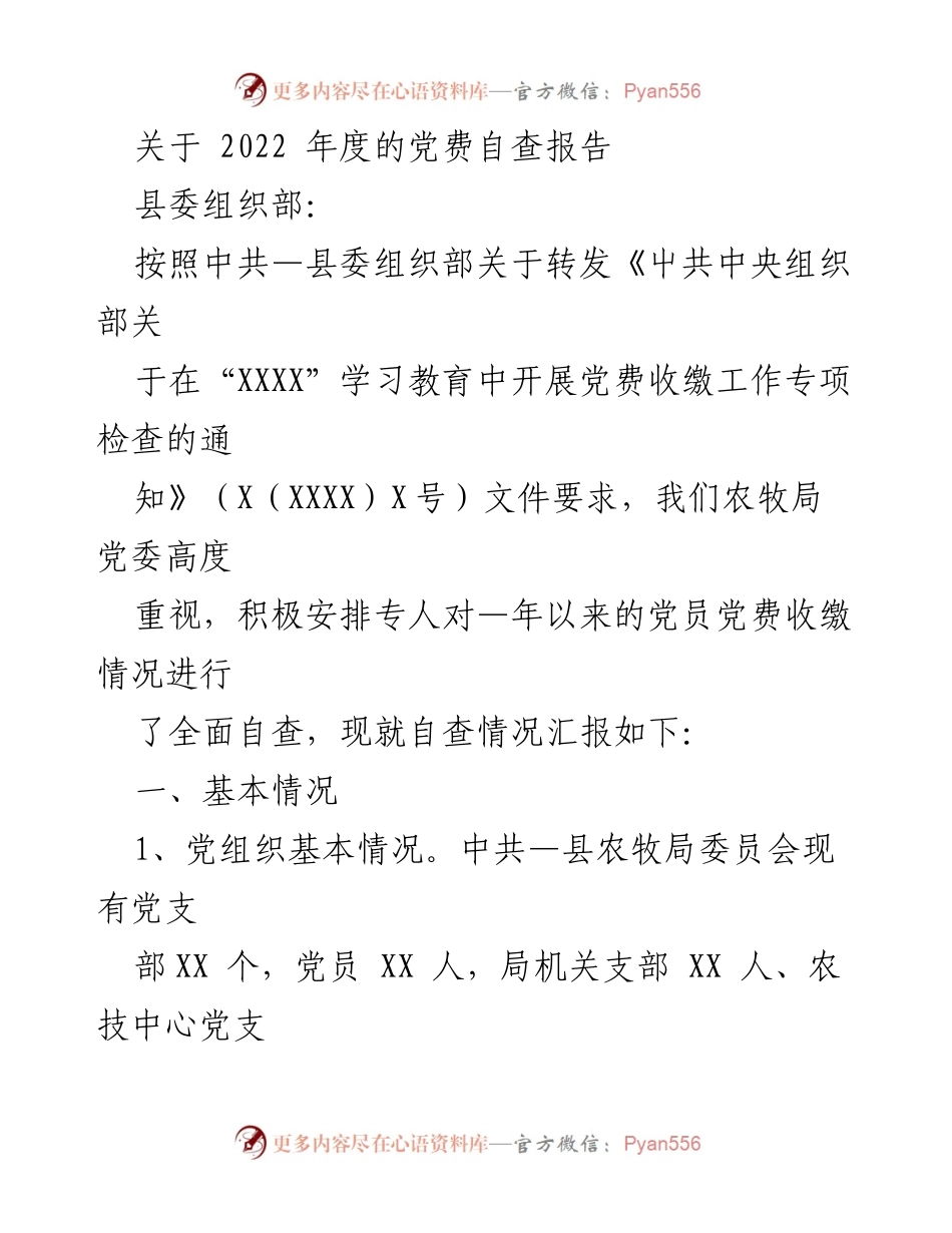 [发言] 党费自查会议 - 2022年度党费自查报告与改进建议.docx_第1页