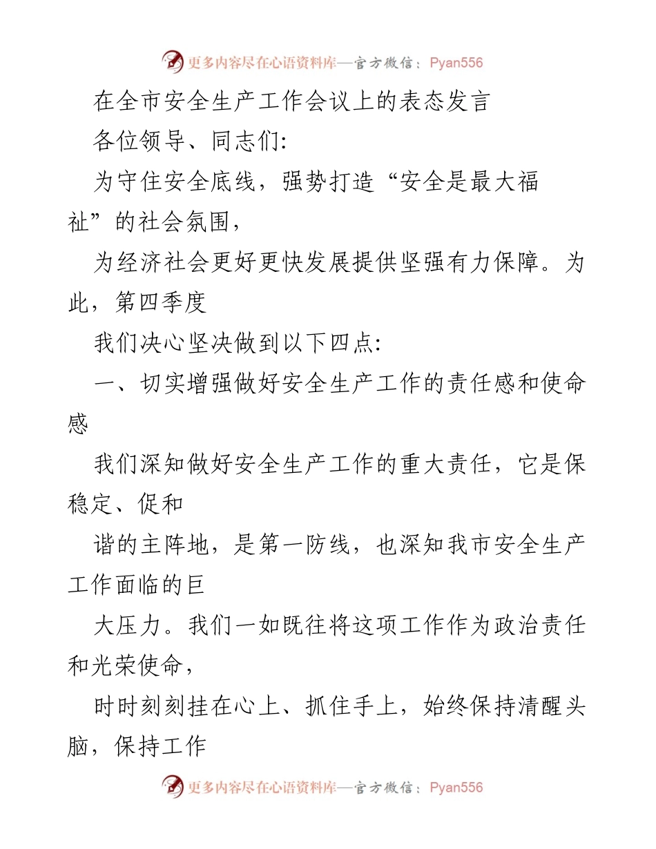[发言] 全市安全生产工作会议 - 加强安全生产责任，确保社会安全稳定.docx_第1页