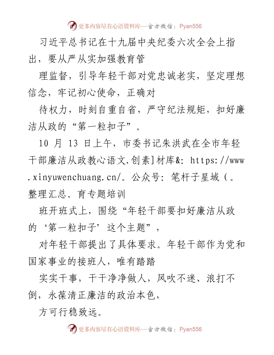 [发言] 全市年轻干部廉洁从政教育专题培训班开班式 - 年轻干部要扣好廉洁从政的“第一粒扣子”.docx_第1页