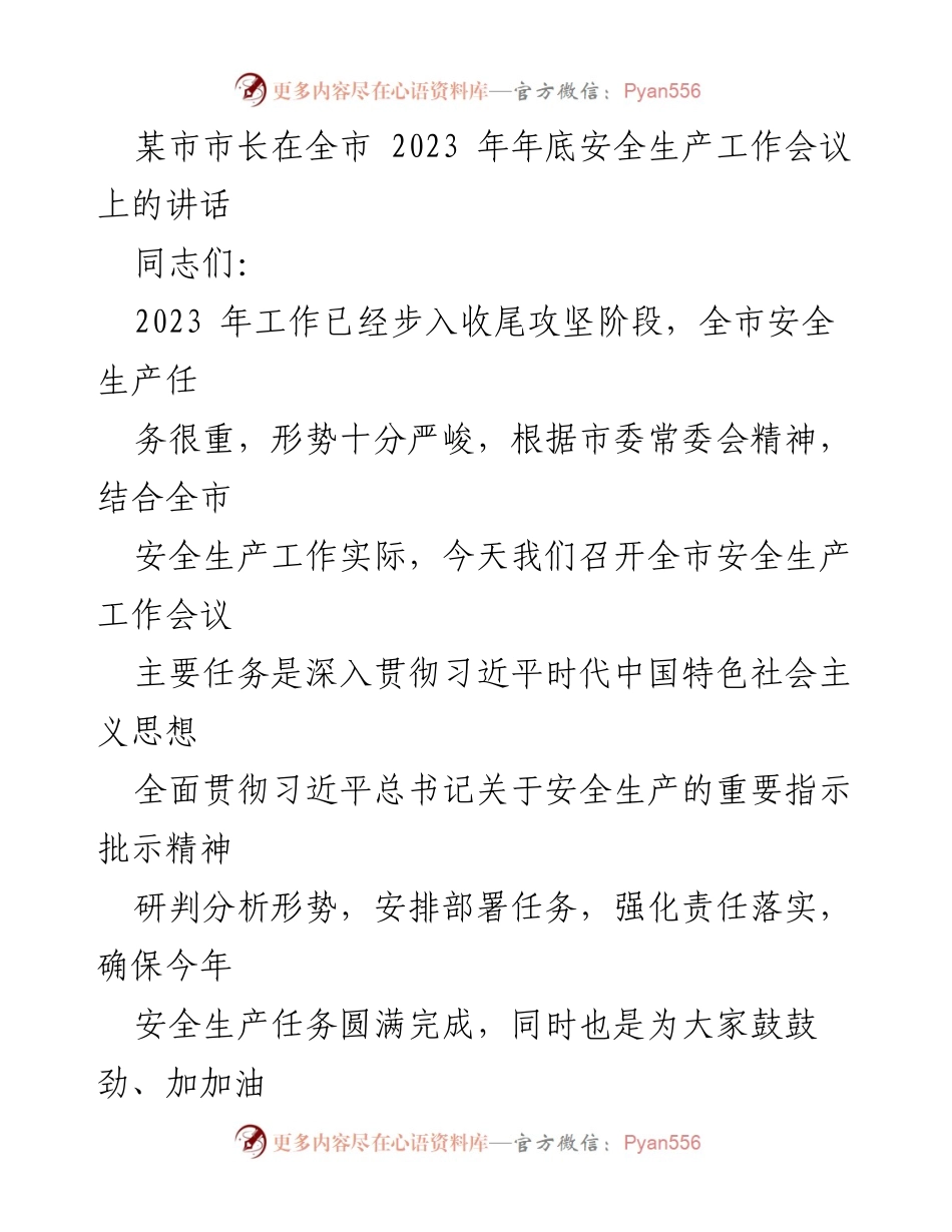 [发言] 全市安全生产工作会议 - 强化责任落实，确保安全生产任务圆满完成.docx_第1页