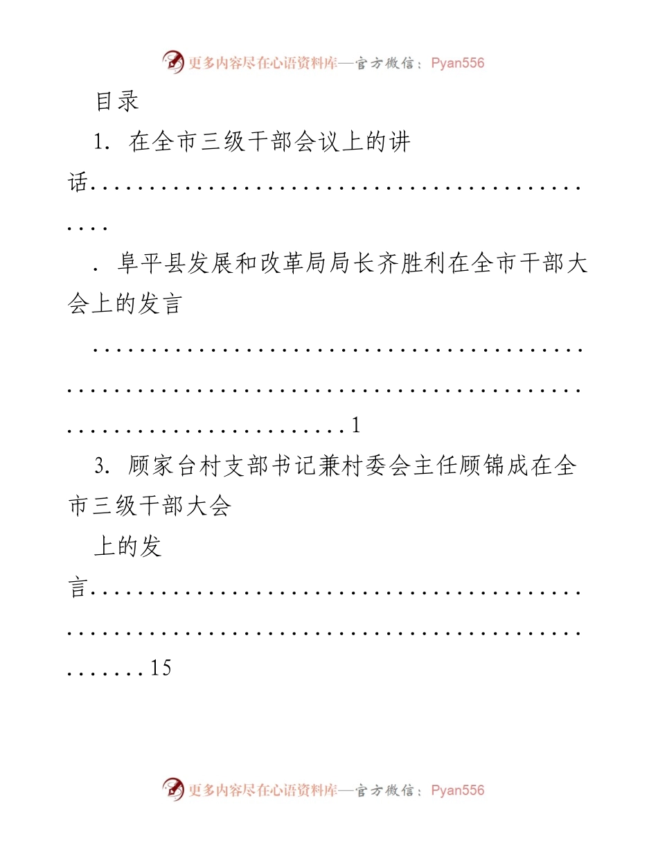 [发言] 全市三级干部大会发言汇总.docx_第1页