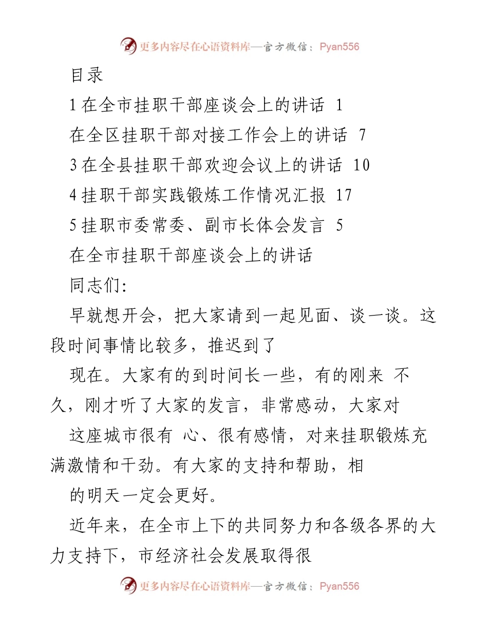 [发言] 全市挂职干部座谈会讲话总结与展望.docx_第1页