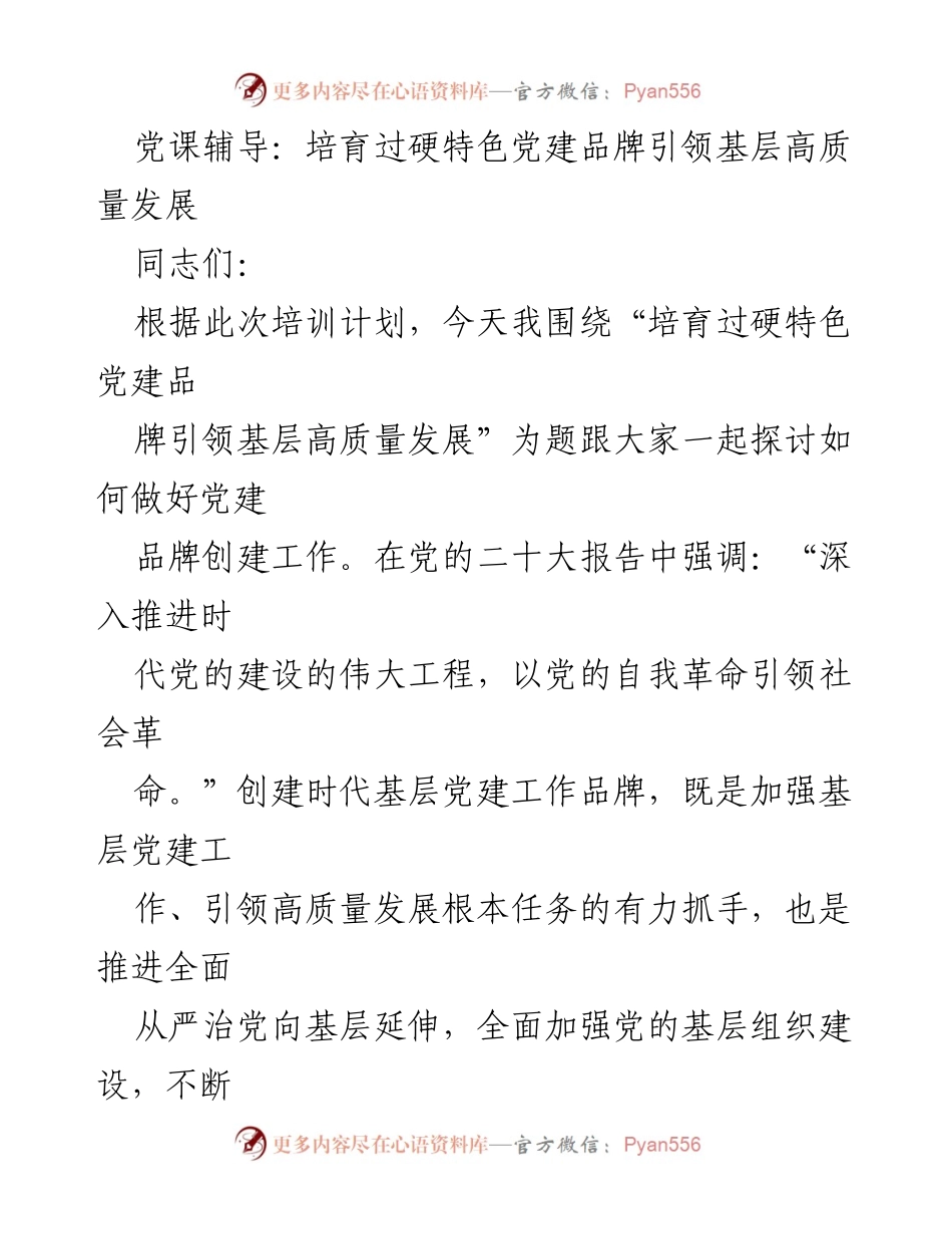 [发言] 党课培训 - 培养过硬党建品牌，引领基层高质量发展.docx_第1页