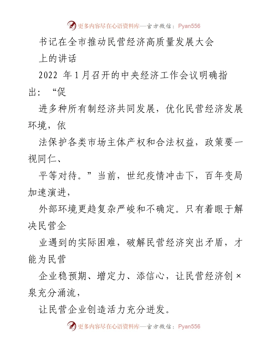 [发言] 全市推动民营经济高质量发展大会 - 书记讲话：坚定支持民营经济高质量发展的方针与策略.docx_第1页