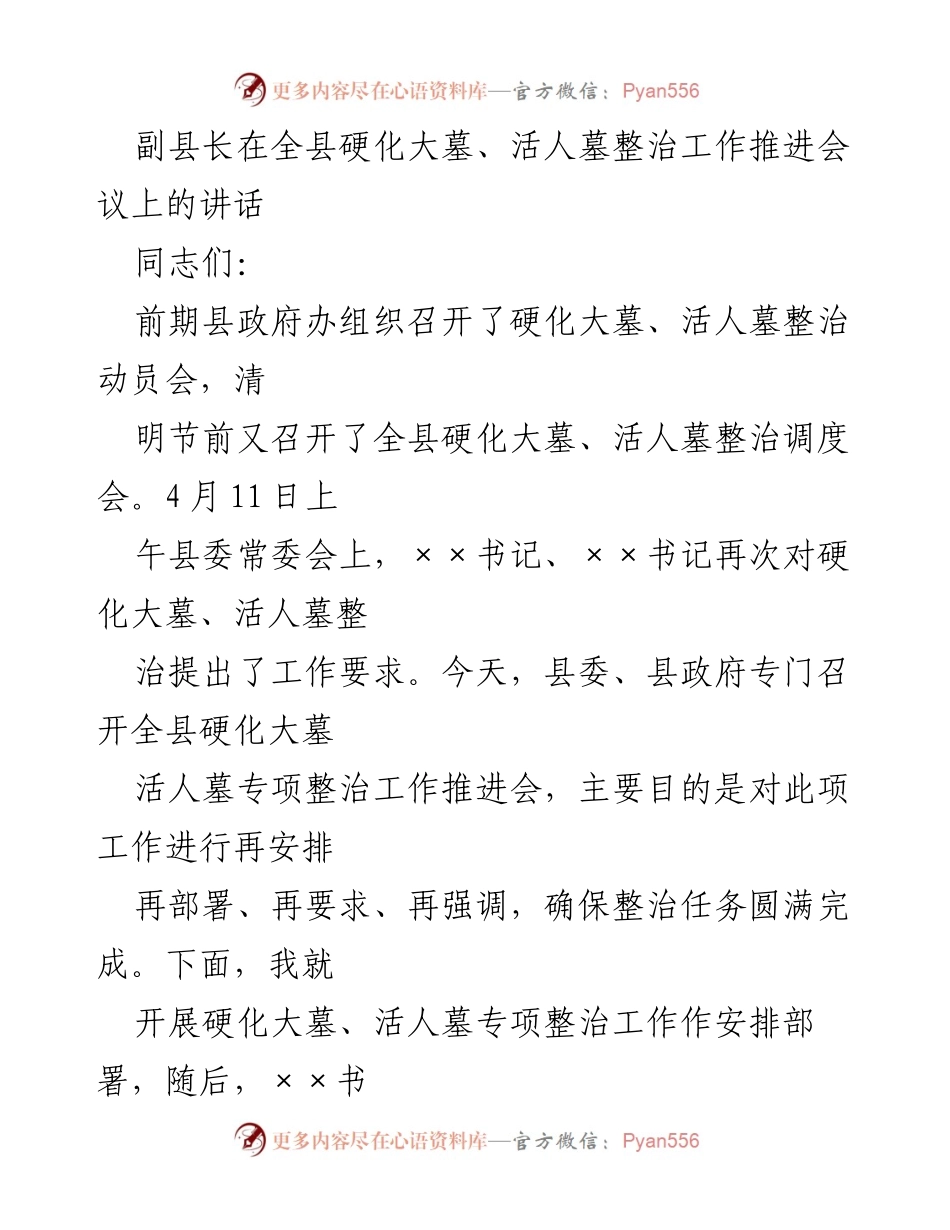 [发言] 全县硬化大墓、活人墓整治工作推进会议 - 确保硬化大墓、活人墓整治工作落到实处.docx_第1页