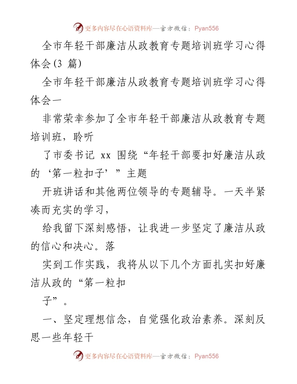 [发言] 全市年轻干部廉洁从政教育专题培训班 - 年轻干部如何扣好廉洁从政的“第一粒扣子”.docx_第1页
