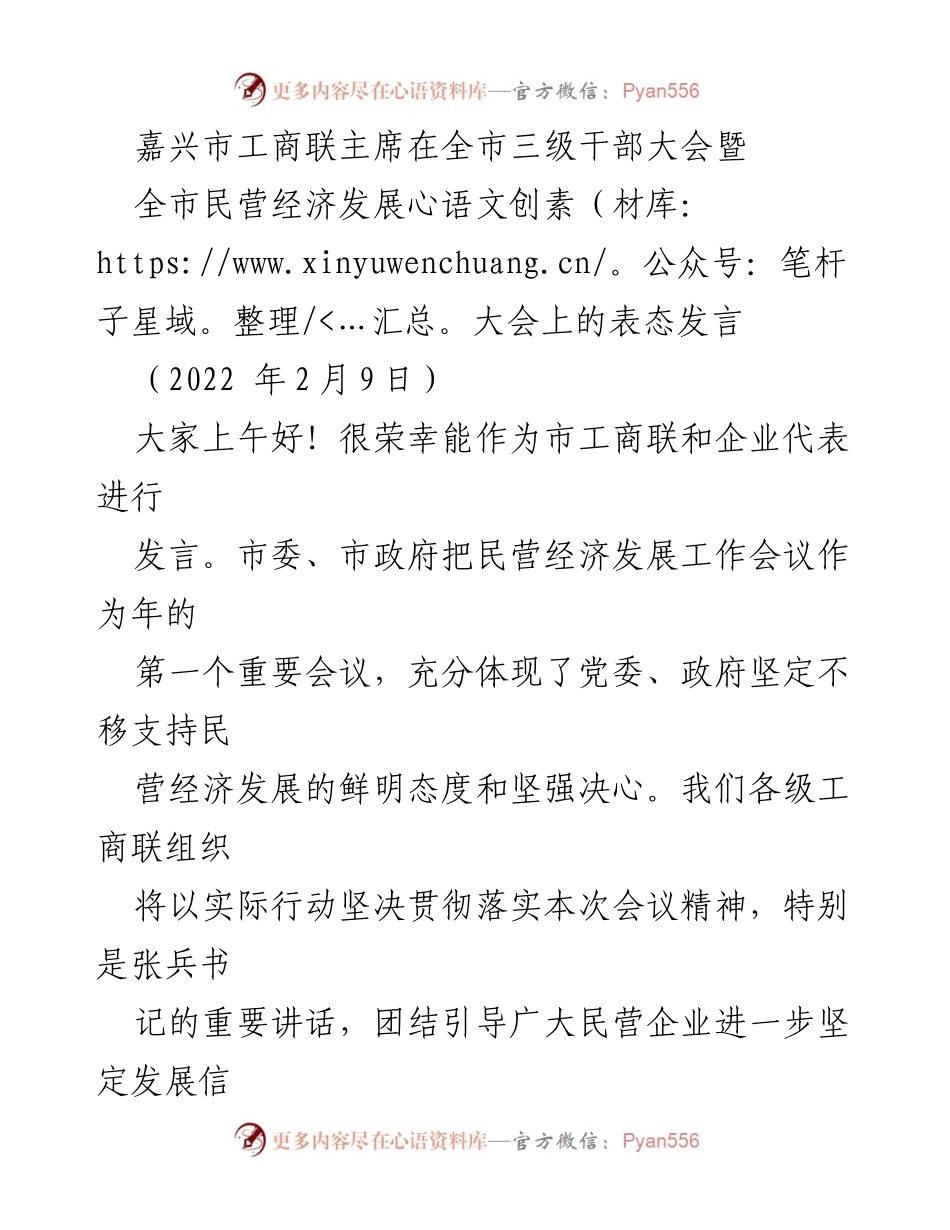 [发言] 全市三级干部大会暨全市民营经济发展大会 - 嘉兴市工商联主席发言：坚定支持民营经济发展，携手共进.docx_第1页