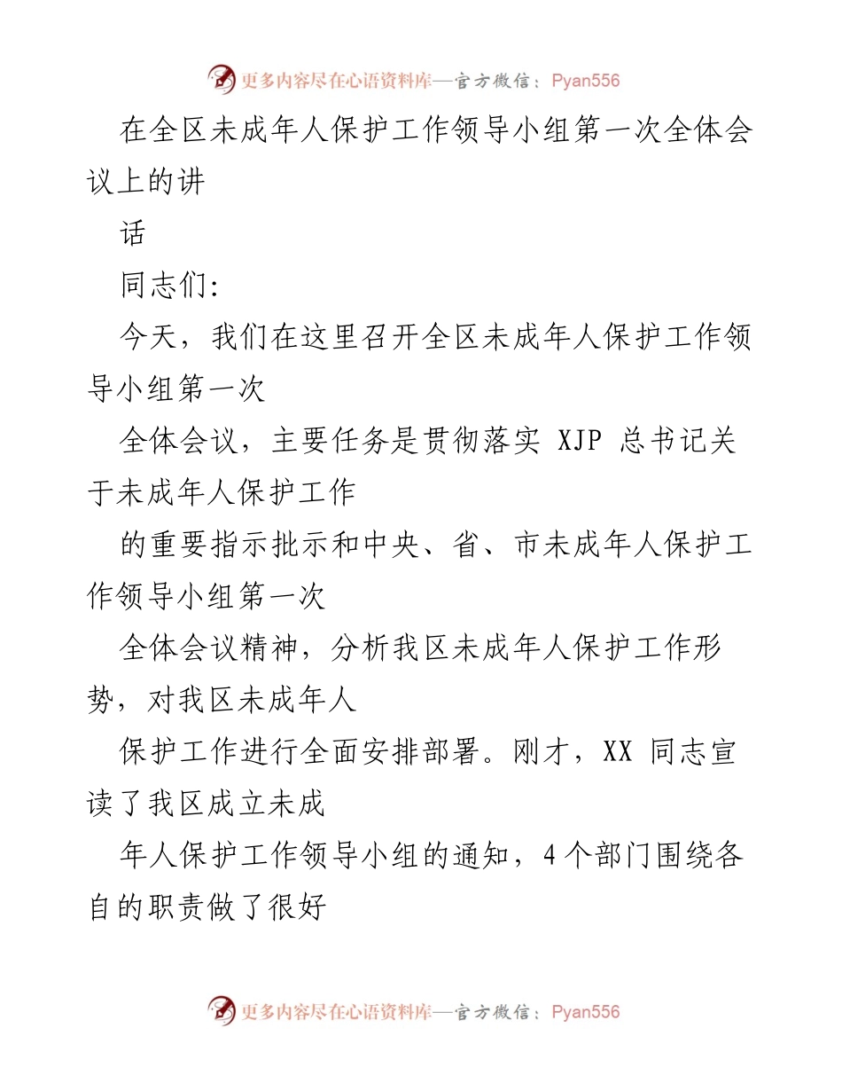 [发言] 全区未成年人保护工作领导小组第一次全体会议 - 加强未成年人保护工作，落实法定职责与责任.docx_第1页