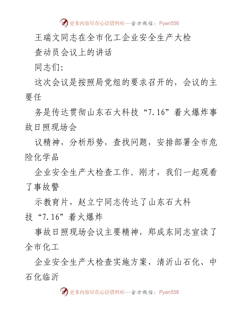 [发言] 全市化工企业安全生产大检查动员会议 - 深刻吸取教训，强化安全生产意识.docx_第1页
