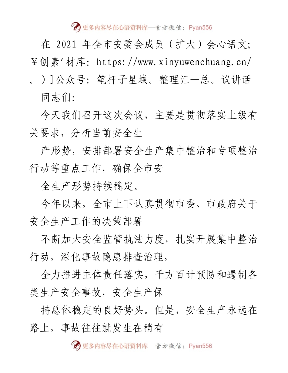 [发言] 全市安委会成员（扩大）会议 - 强化安全生产责任，确保稳定形势.docx_第1页
