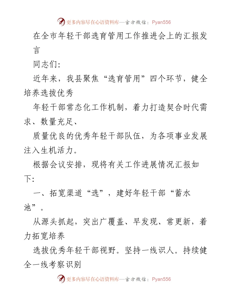 [发言] 全市年轻干部选育管用工作推进会 - 加强年轻干部选育管用机制，提升队伍素质与能力.docx_第1页