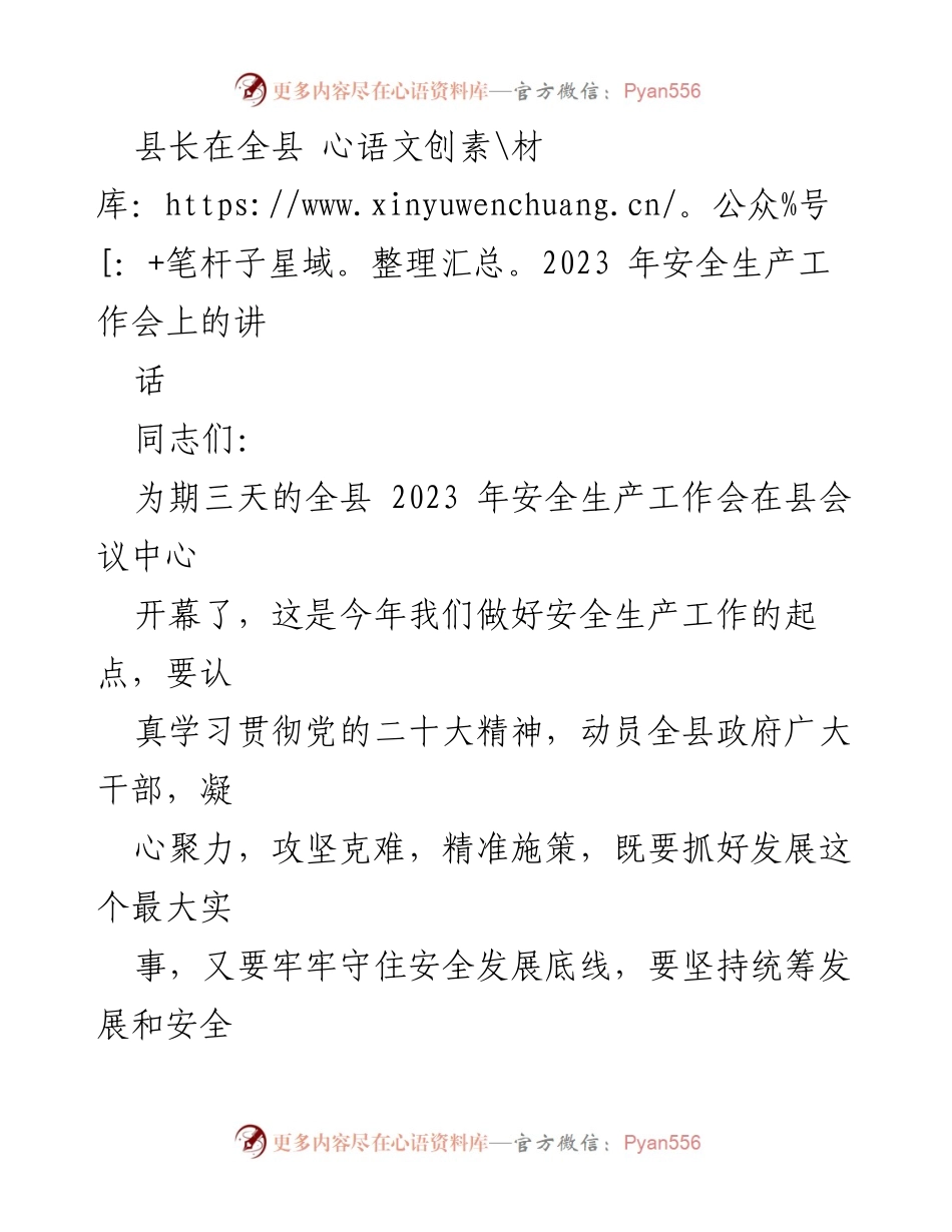 [发言] 全县安全生产工作会 - 2023年安全生产工作动员讲话.docx_第1页
