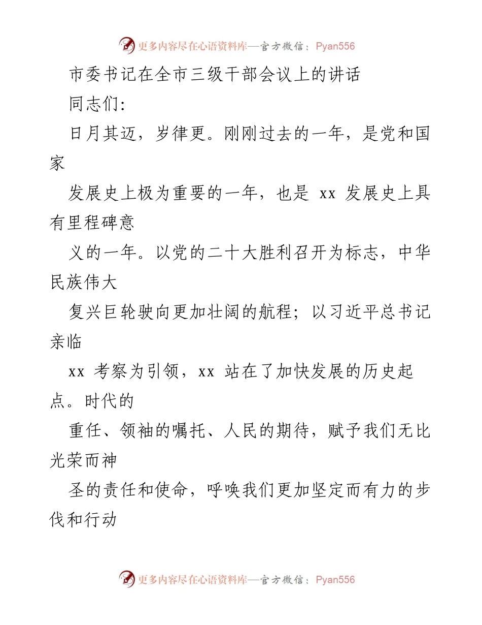 [发言] 全市三级干部会议 - 牢记领袖嘱托，奋力拼搏建设现代化中等城市.docx_第1页