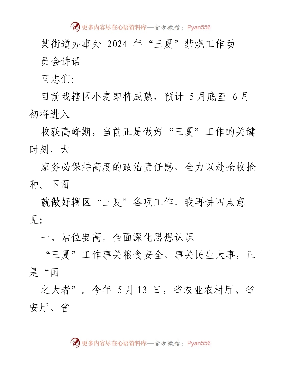 [发言] 动员会 - 2024年“三夏”禁烧工作动员讲话.docx_第1页
