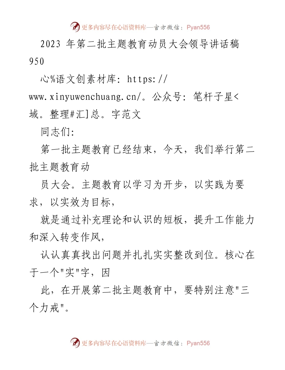 [发言] 动员大会 - 第二批主题教育动员大会领导讲话稿.docx_第1页
