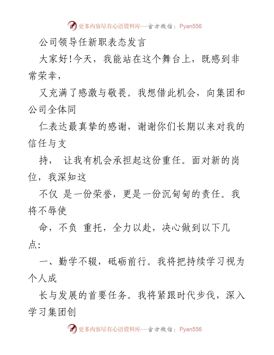 [发言] 公司领导任职仪式 - 新任领导表态发言：承诺与展望.docx_第1页