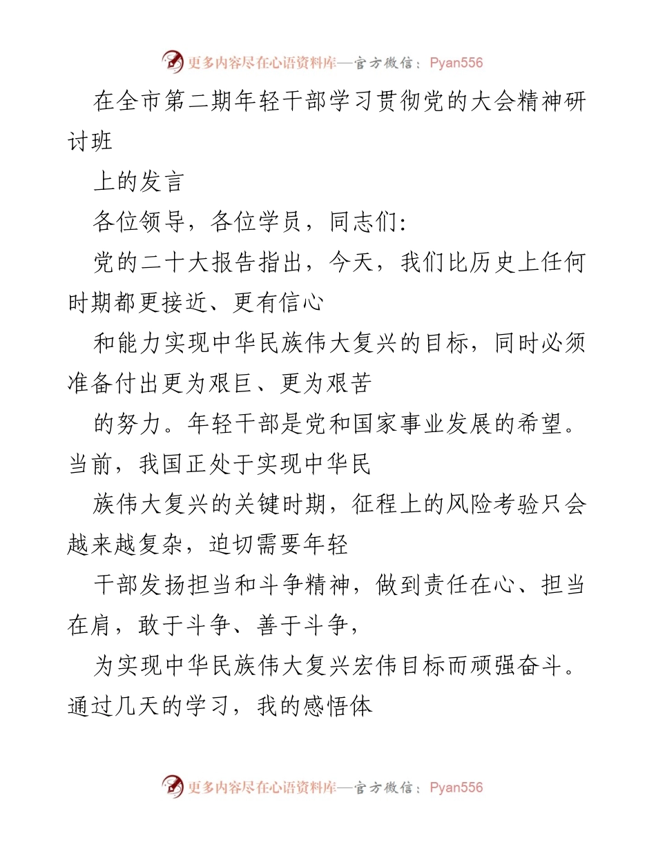 [发言] 全市第二期年轻干部学习贯彻党的大会精神研讨班 - 年轻干部的担当与斗争精神.docx_第1页