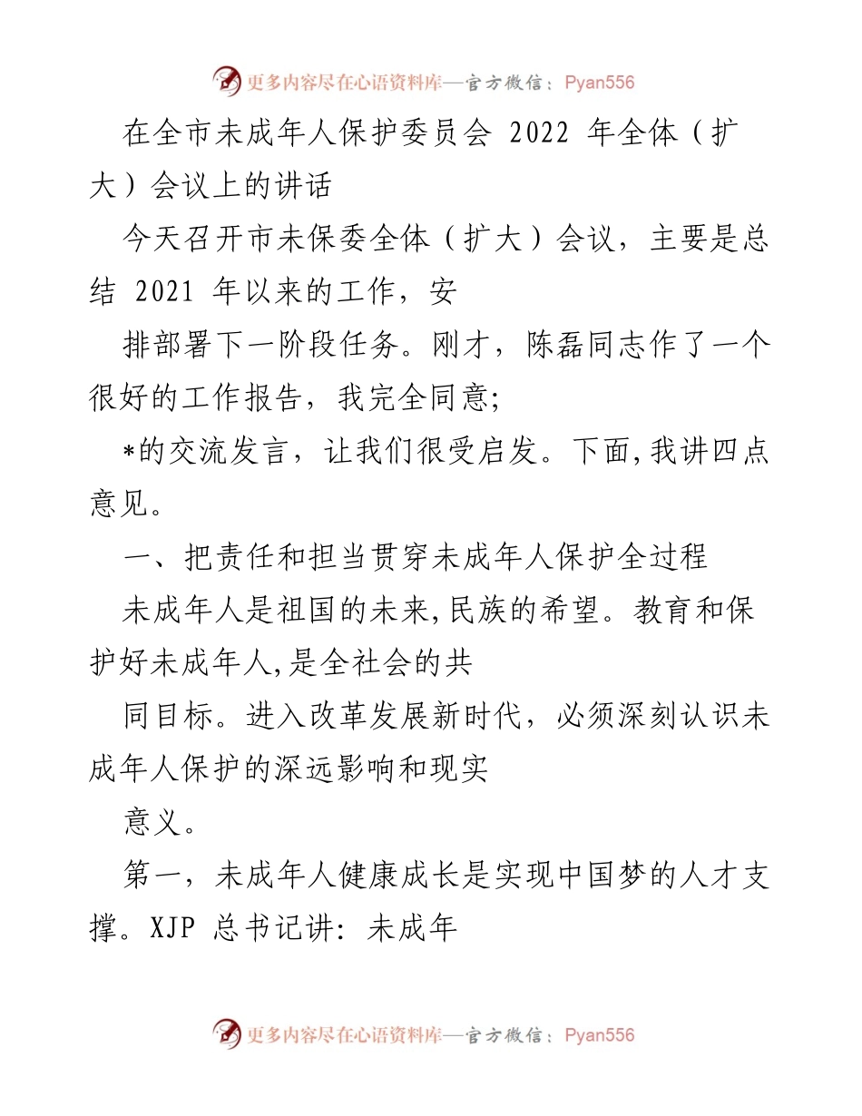 [发言] 全市未成年人保护委员会 2022 年全体（扩大）会议 - 强化责任与担当，共筑未成年人保护新局面.docx_第1页