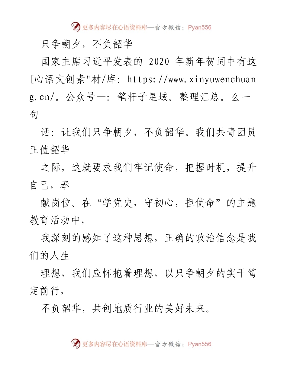 [发言] 共青团主题教育活动 - 只争朝夕，奋进新时代，共创地质行业美好未来.docx_第1页