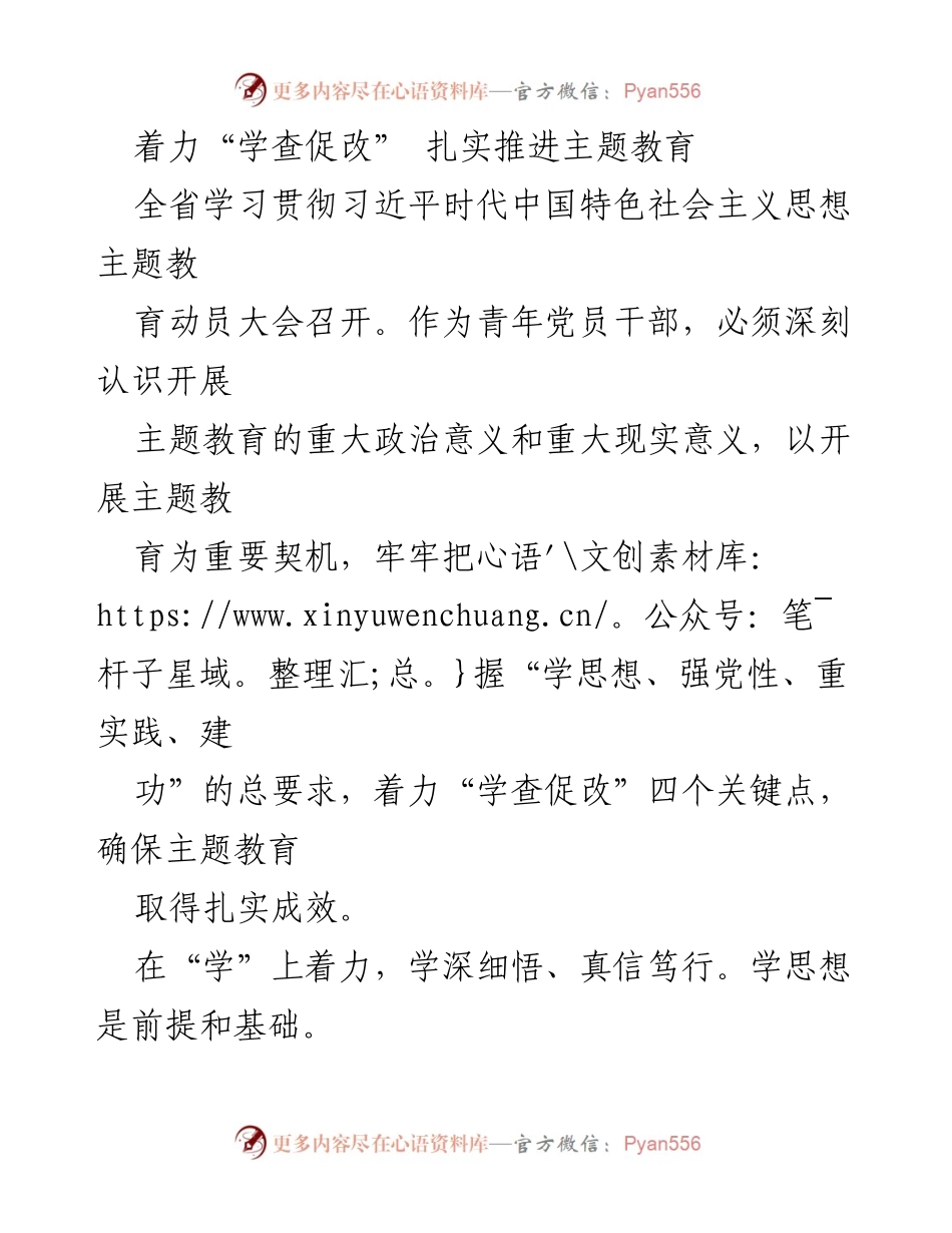 [发言] 动员大会 - 扎实推进主题教育，强化“学查促改”落实.docx_第1页