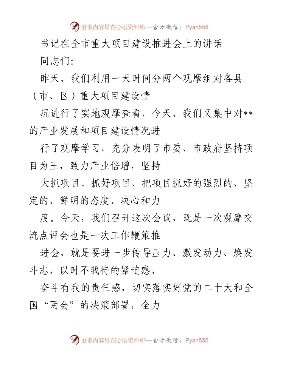 [发言] 全市重大项目建设推进会 - 加快项目建设，推动产业发展，确保实现全年目标.docx_第1页