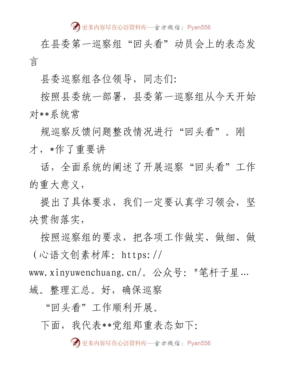 [发言] 动员会 - 巡察“回头看”工作表态发言.docx_第1页