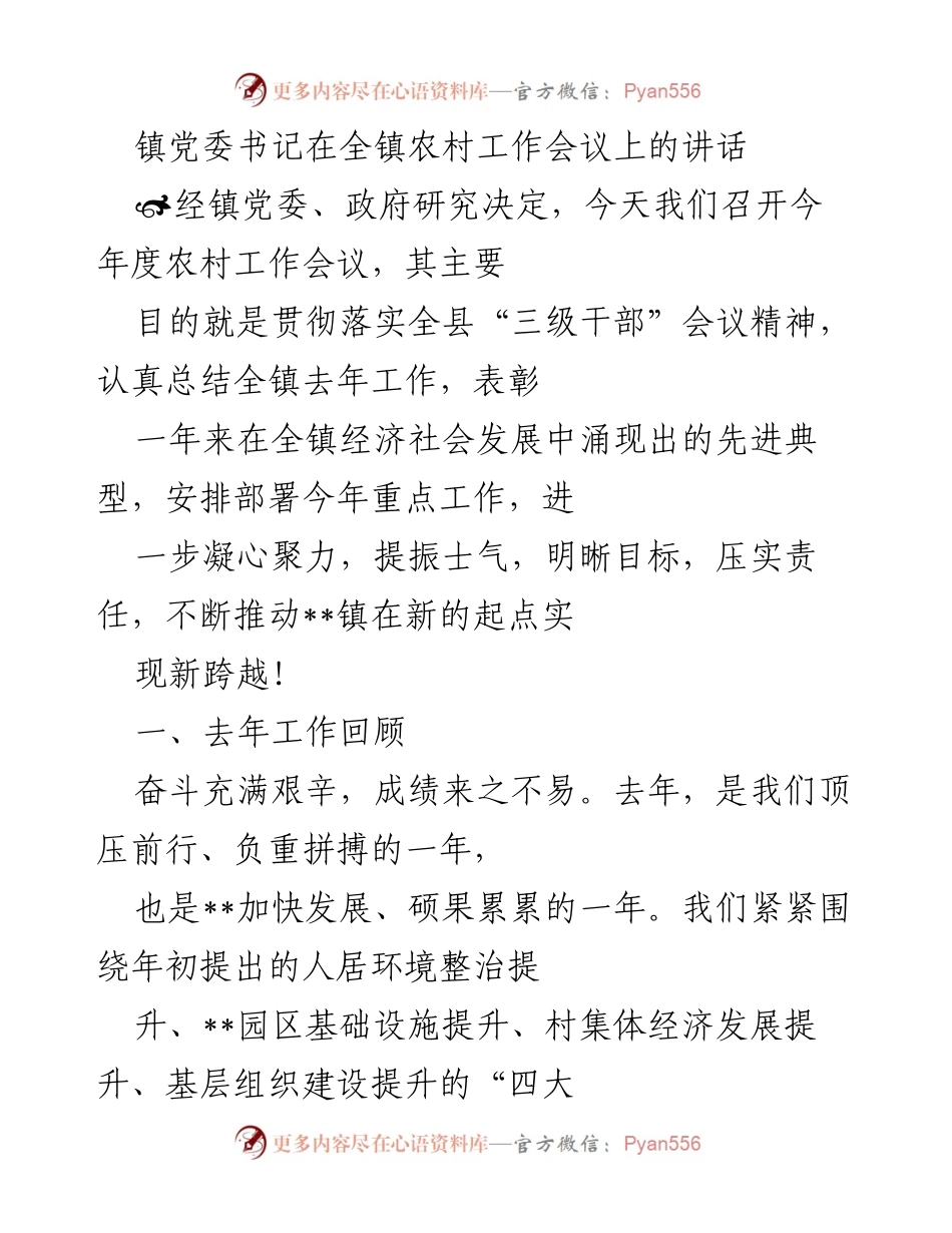 [发言] 农村工作会议 - __镇农村工作会议讲话：总结过去，展望未来.docx_第1页