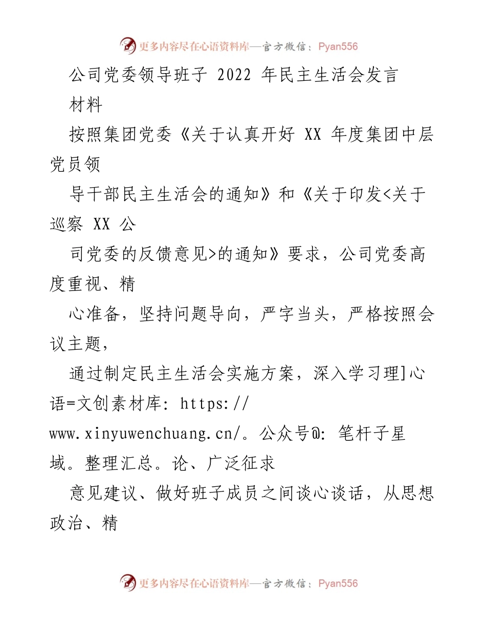 [发言] 公司党委民主生活会 - 公司党委领导班子2022年民主生活会发言总结.docx_第1页