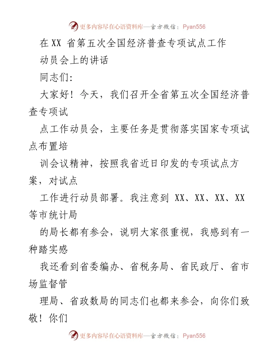 [发言] 动员会 - 第五次全国经济普查专项试点工作动员讲话.docx_第1页
