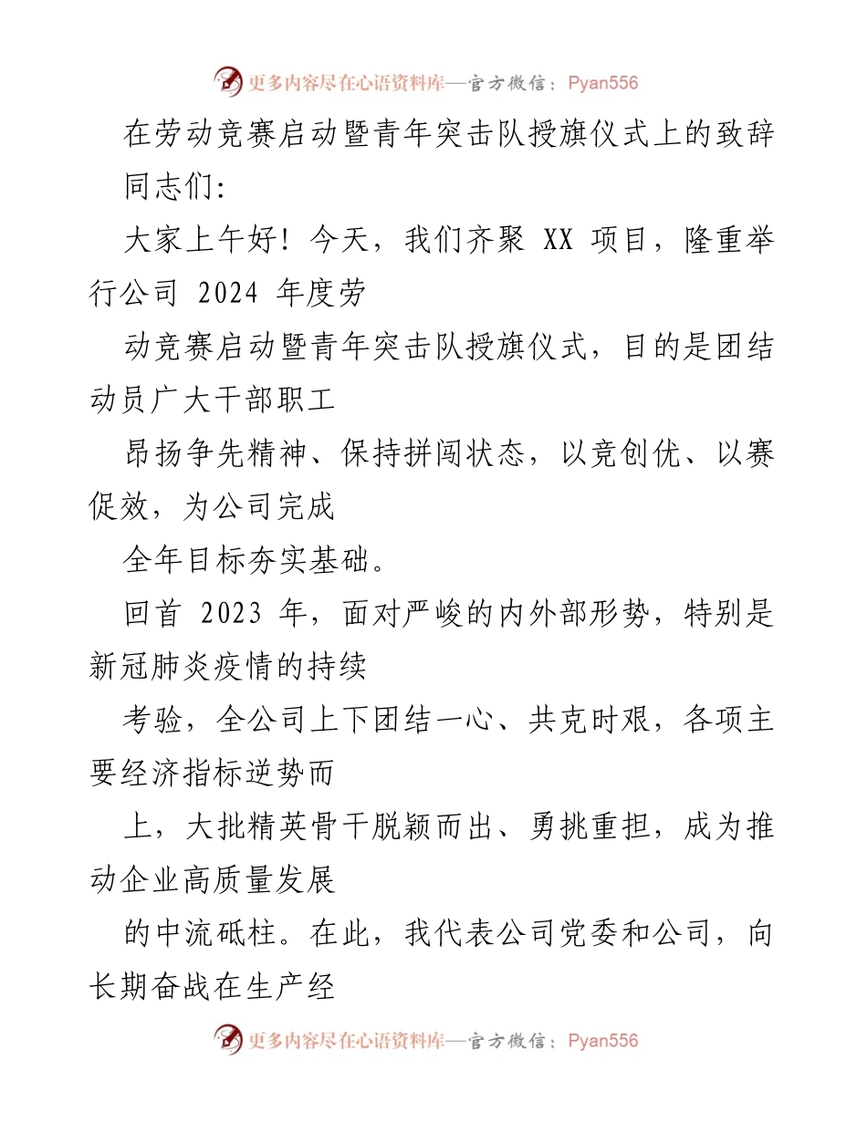 [发言] 劳动竞赛启动暨青年突击队授旗仪式 - 激励奋进，共创高质量发展新篇章.docx_第1页