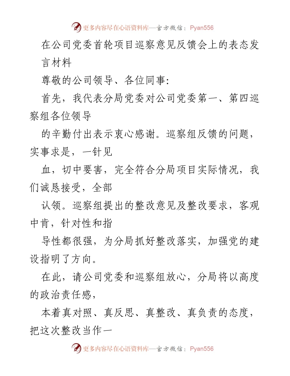 [发言] 公司党委巡察意见反馈会 - 巡察整改落实的坚决表态与行动计划.docx_第1页