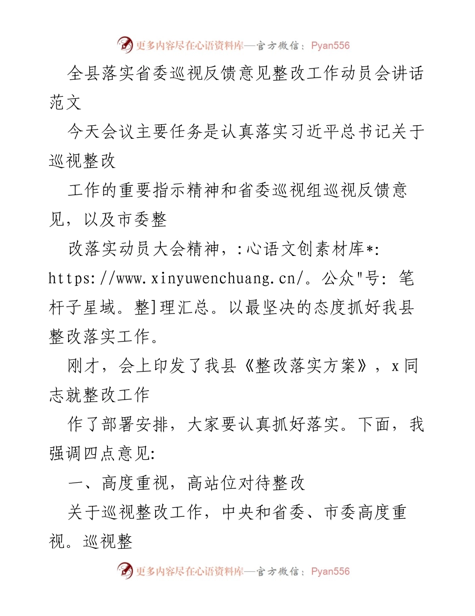 [发言] 动员会 - 全县巡视整改工作动员会讲话要点.docx_第1页
