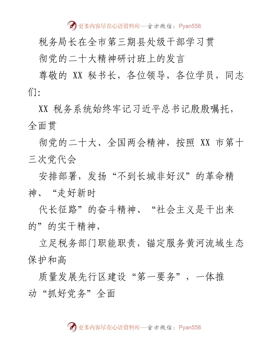 [发言] 全市第三期县处级干部学习贯彻党的二十大精神研讨班 - 税务系统高质量发展的政治责任与实干精神.docx_第1页