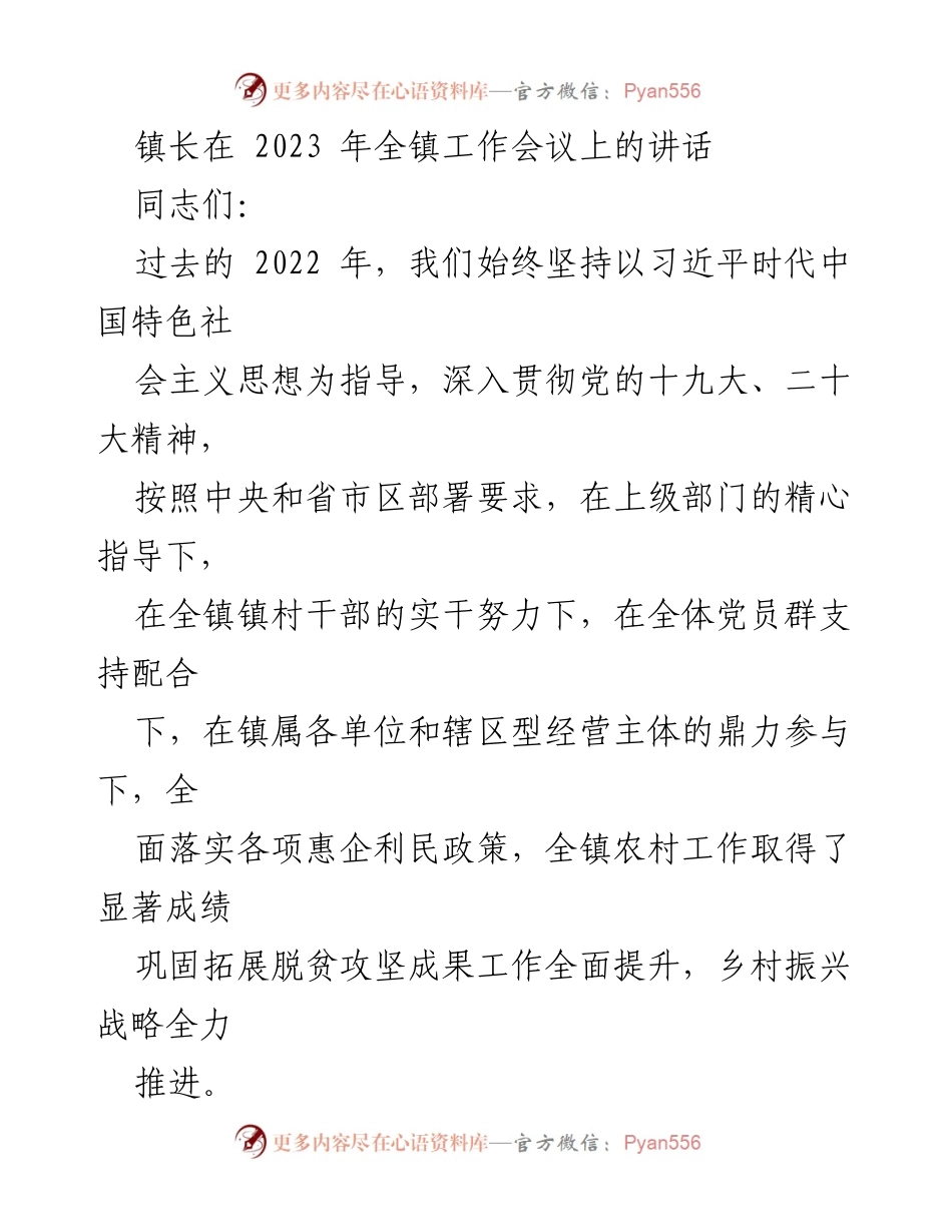 [发言] 全镇工作会议 - 2023年全镇工作总结与发展展望.docx_第1页