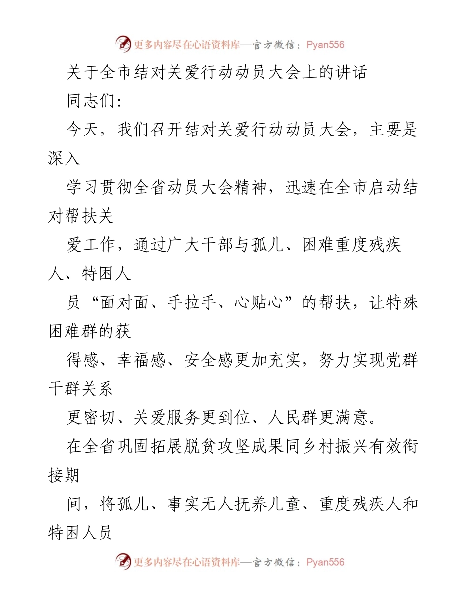[发言] 动员大会 - 全市结对关爱行动动员大会讲话.docx_第1页
