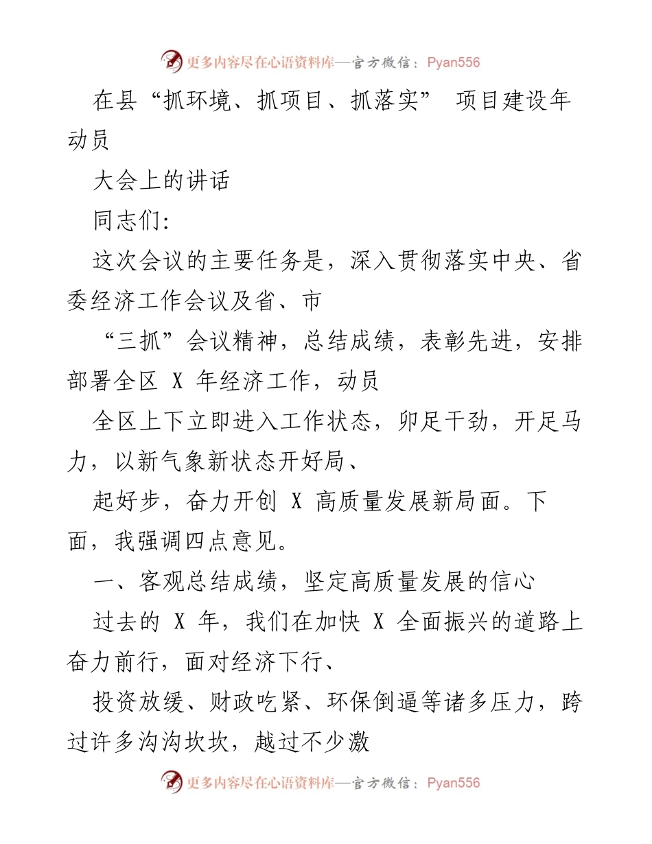 [发言] 动员大会 - 深入贯彻落实“三抓”精神，奋力开创高质量发展新局面.docx_第1页