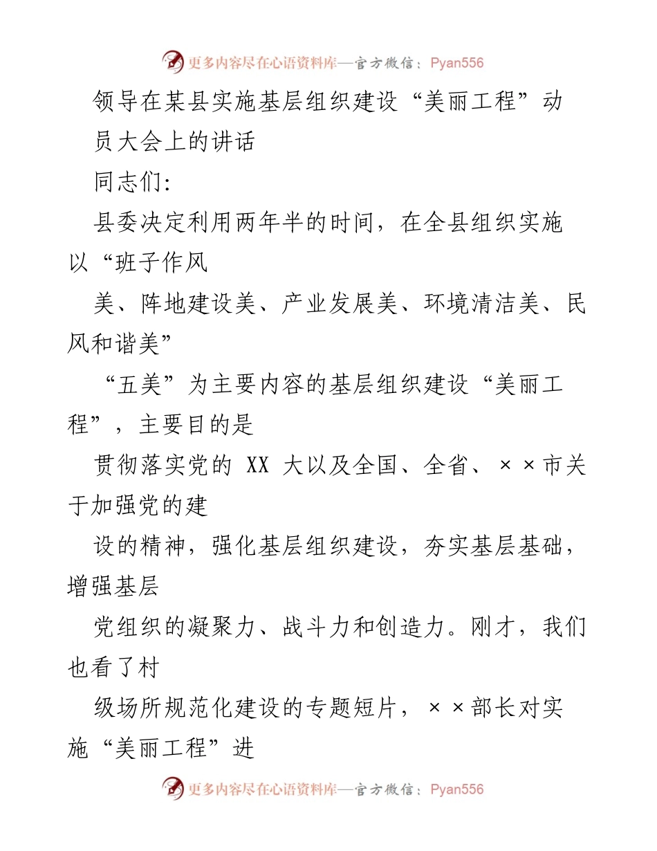 [发言] 动员大会 - 基层组织建设“美丽工程”实施的重要性与措施.docx_第1页