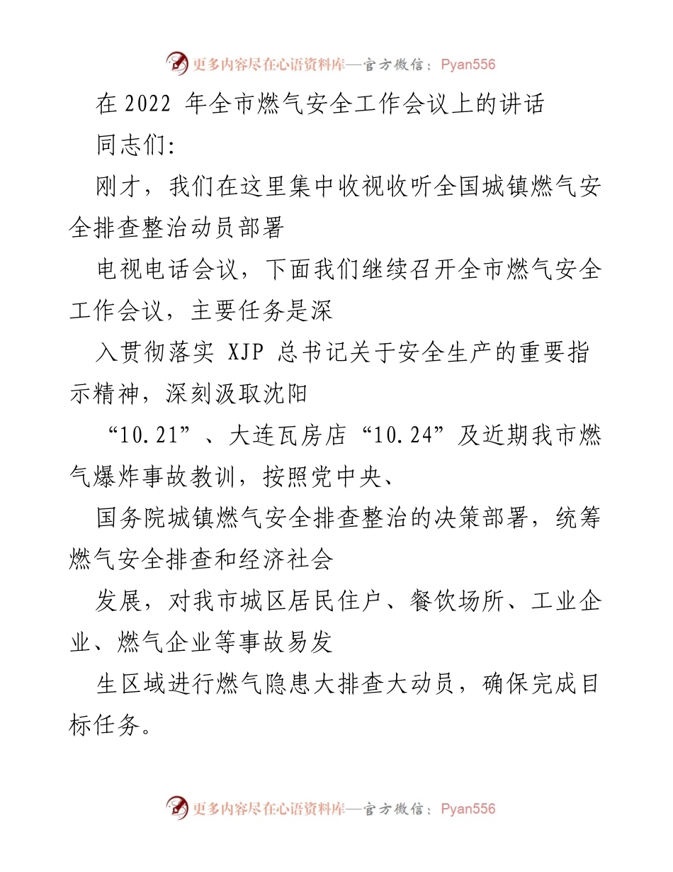 [发言] 全市燃气安全工作会议 - 加强燃气安全排查整治，确保人民生命财产安全.docx_第1页