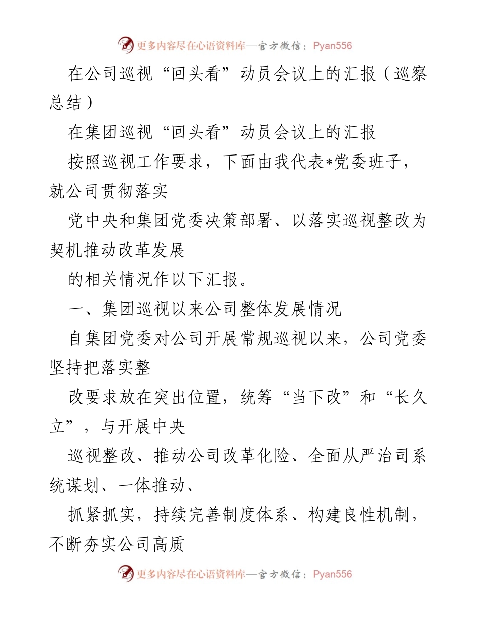 [发言] 公司巡视“回头看”动员会议 - 巡视整改推动公司高质量发展的汇报.docx_第1页