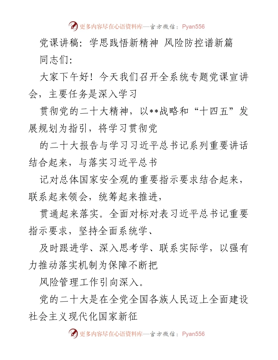 [发言] 全系统专题党课宣讲会 - 深入学习党的二十大精神，推动风险管理新发展.docx_第1页