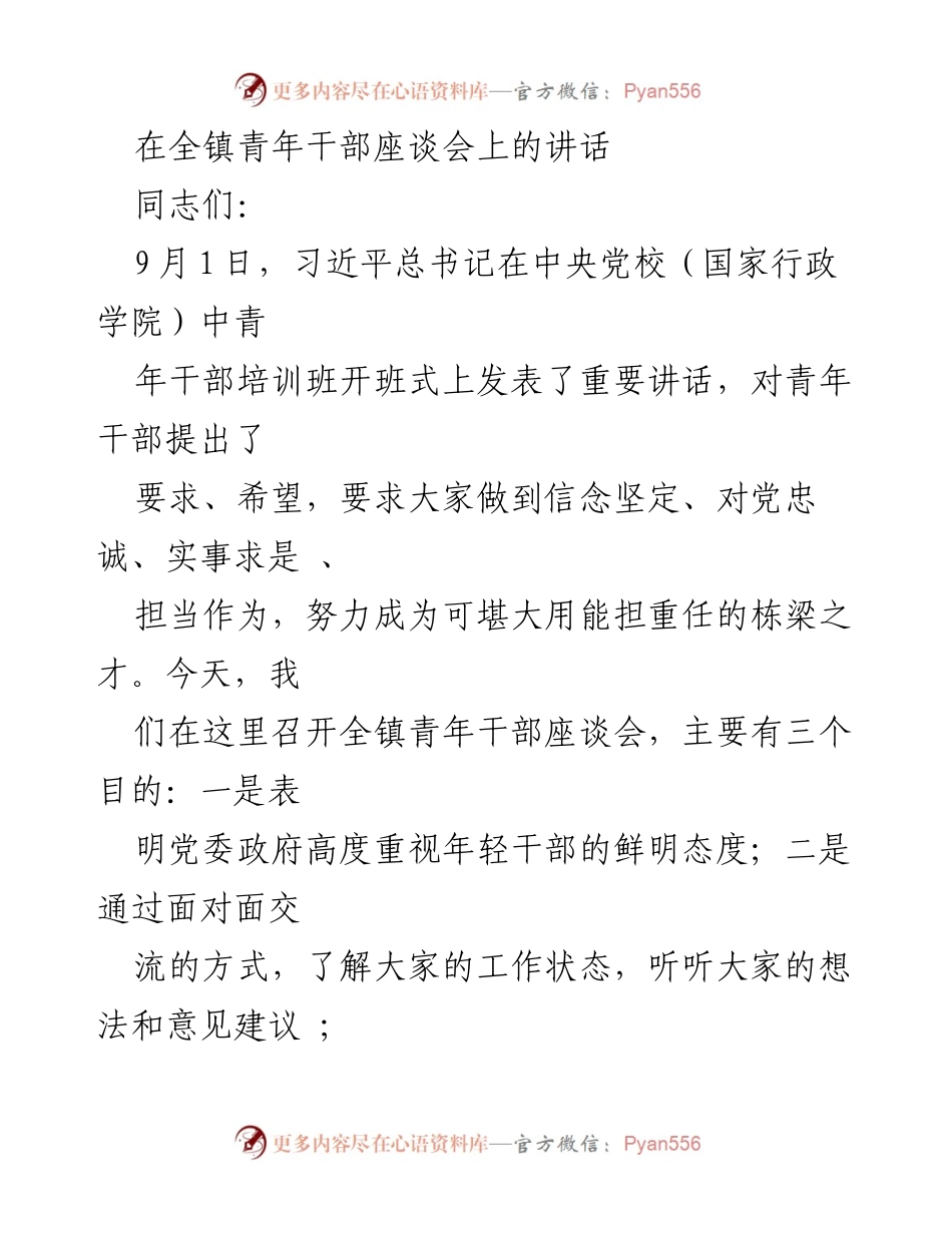 [发言] 全镇青年干部座谈会 - 青年干部的使命与责任_1.docx_第1页