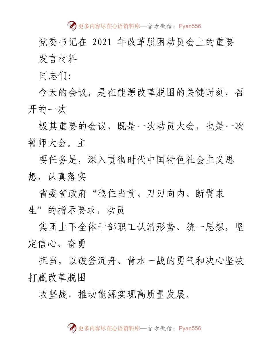 [发言] 动员大会 - 坚定信心，奋勇担当，打赢能源改革脱困攻坚战.docx_第1页