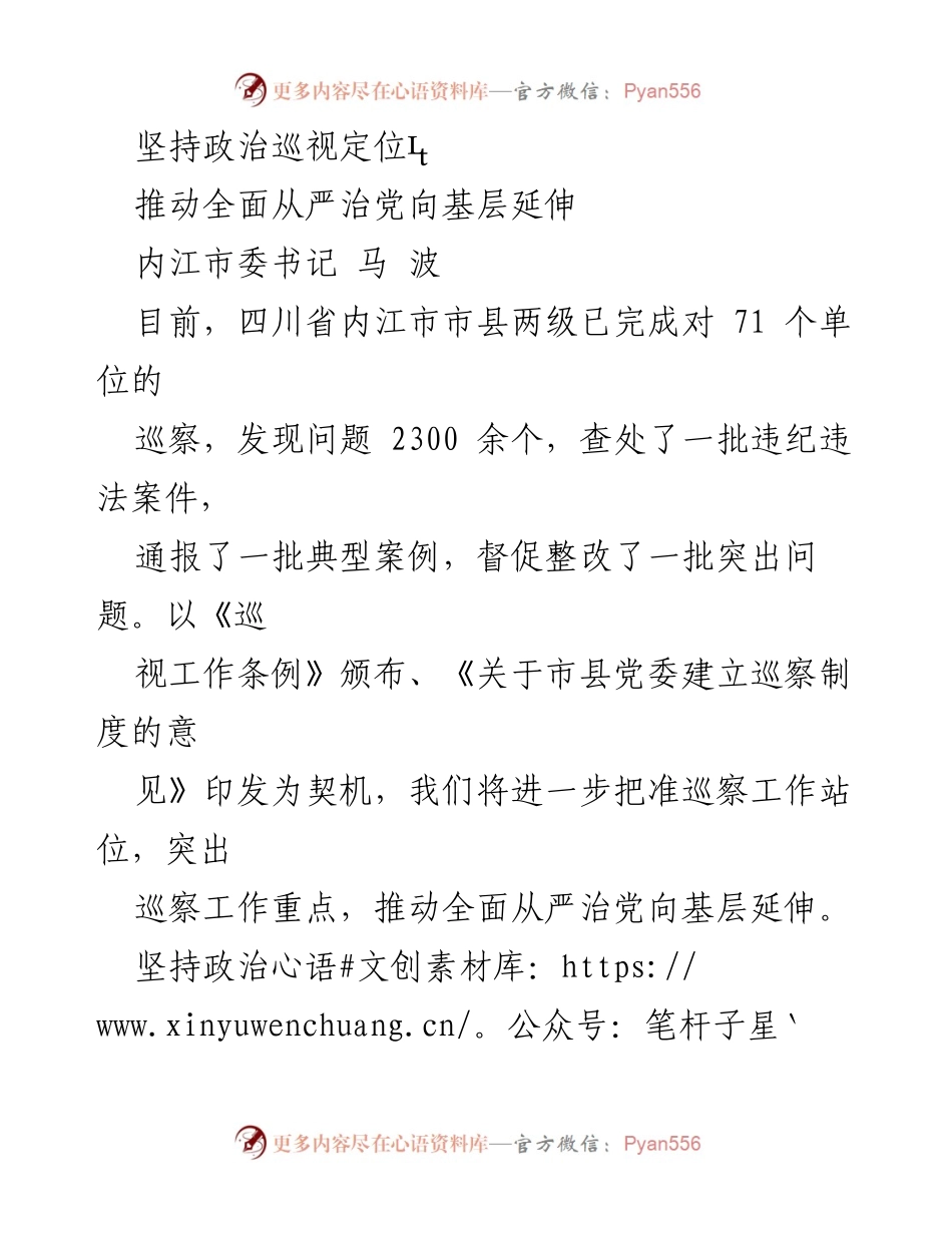 [发言] 内江市政治巡视工作会议 - 坚持政治巡视定位，推动全面从严治党向基层延伸.docx_第1页
