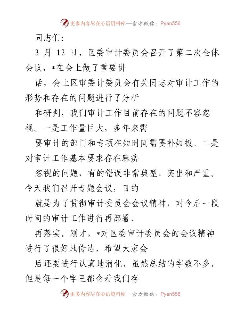 [发言] 区委审计委员会会议 - 提高审计工作重要性的紧急动员.docx_第1页