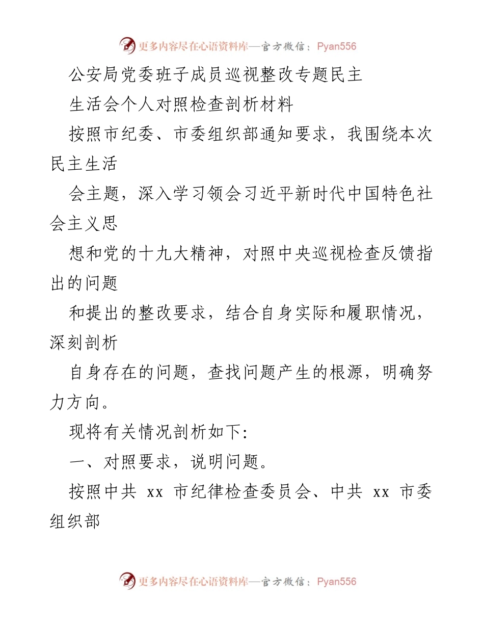 [发言] 公安局党委巡视整改专题民主生活会 - 个人对照检查与剖析材料.docx_第1页