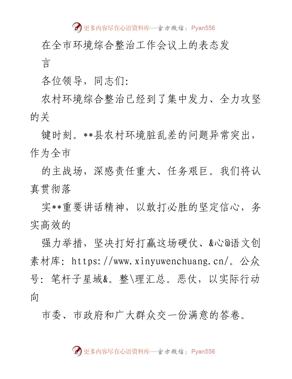 [发言] 全市环境综合整治工作会议 - 决胜农村环境整治，责任与行动并重.docx_第1页