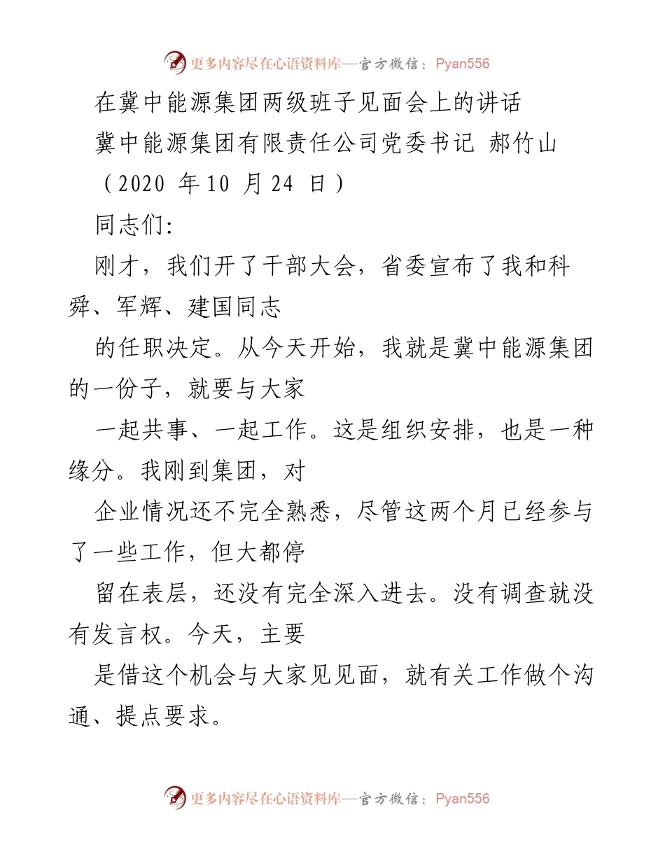 [发言] 冀中能源集团两级班子见面会 - 加强政治责任，推动冀中能源高质量发展.docx_第1页