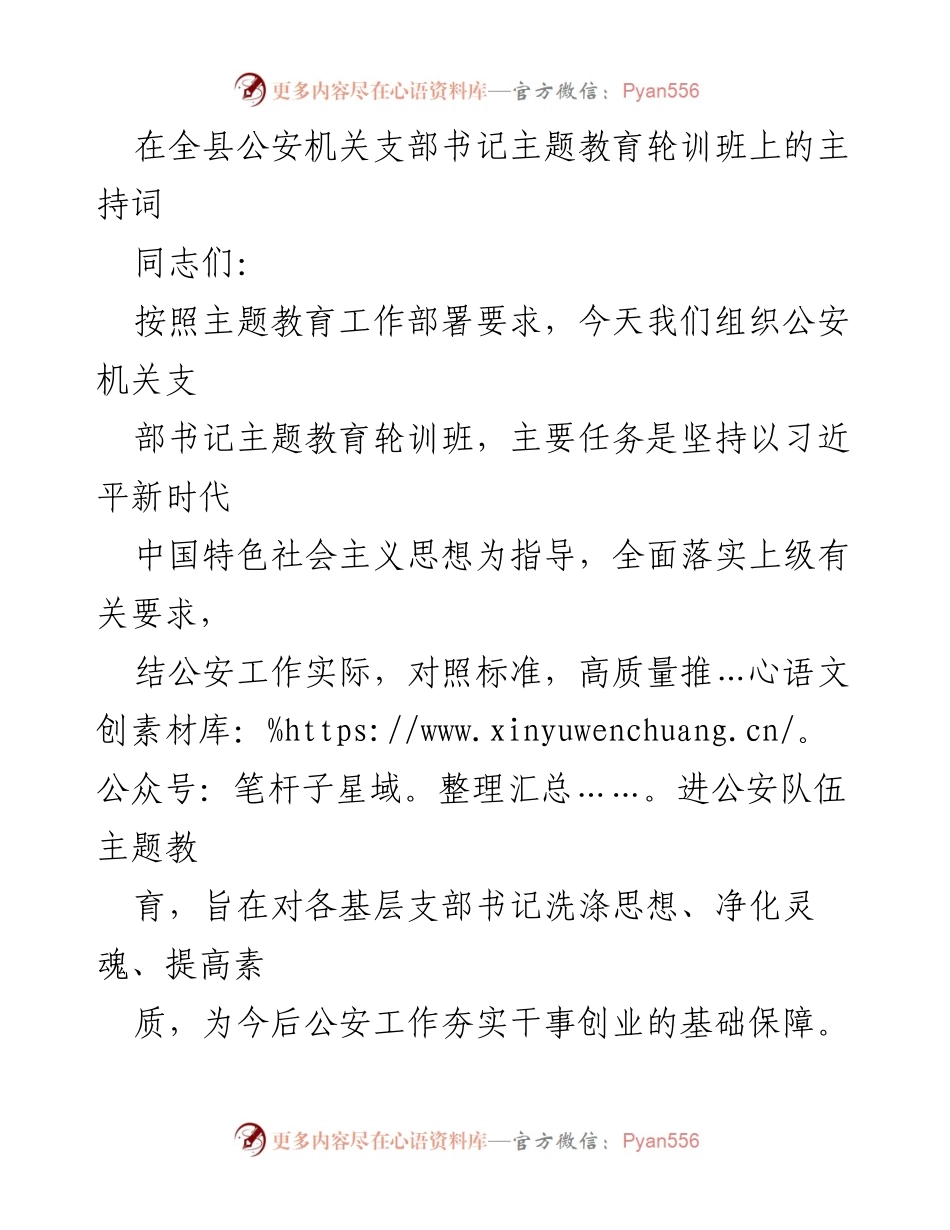 [发言] 公安机关主题教育轮训班 - 提升政治意识，推动公安队伍主题教育落实.docx_第1页