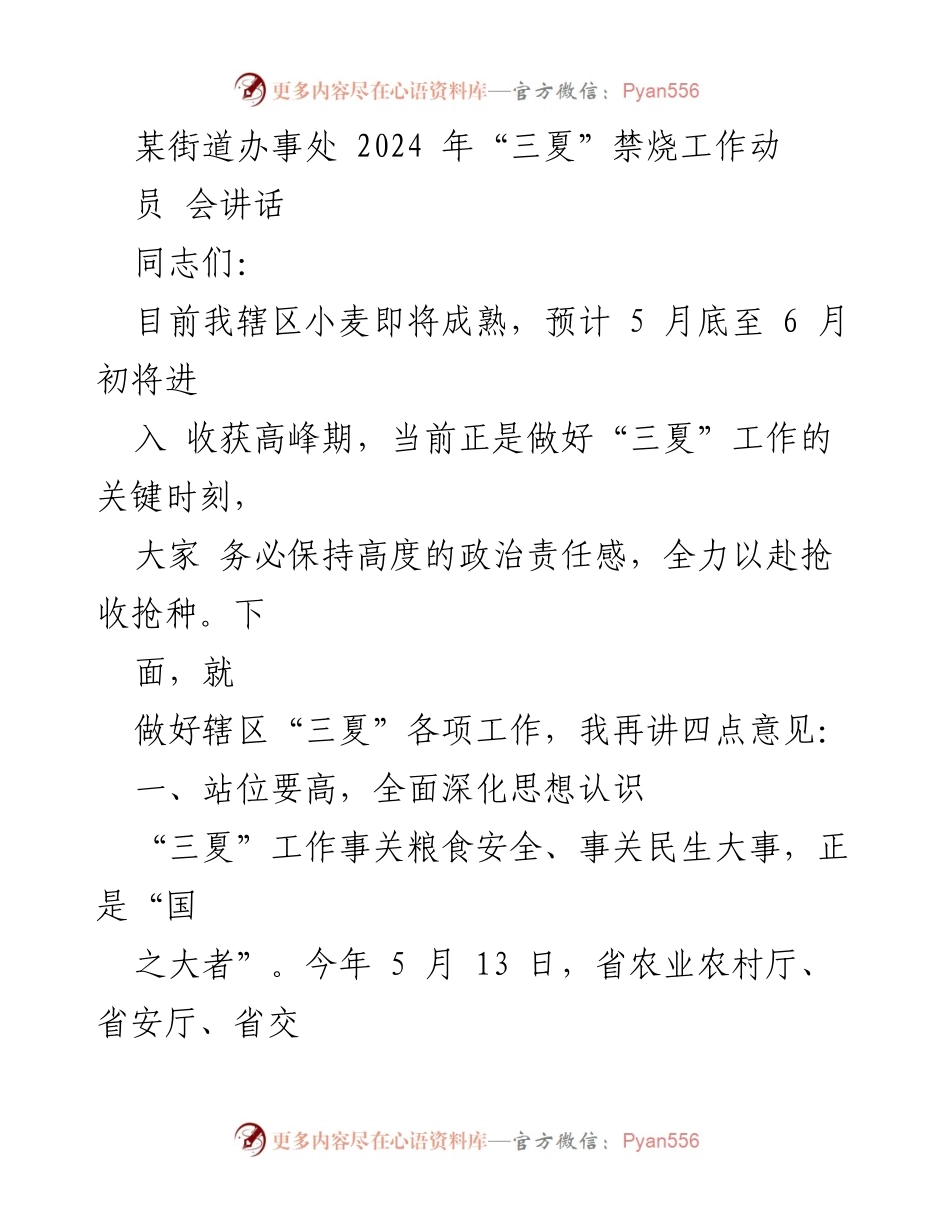 [发言] 动员会 - 2024年“三夏”禁烧工作动员讲话_1.docx_第1页